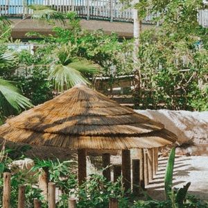 Meet your Posher, Penny